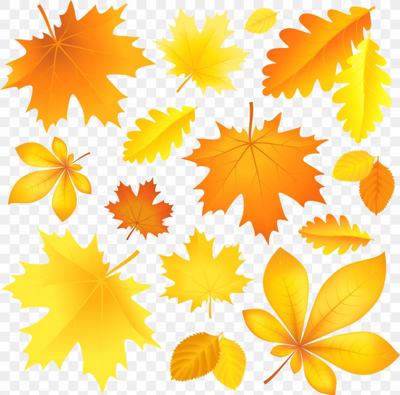 Clip Art Vector Graphics Autumn Leaf Color Image, PNG, 8000x7897px, Autumn Leaf Color, Autumn, Drawing, Flower, Flowering Plant Download Free