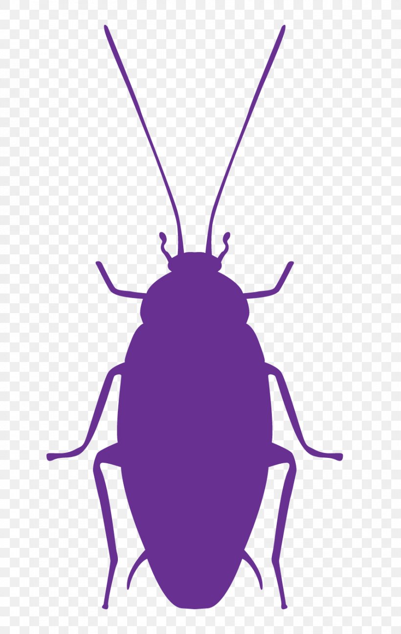 Cockroach Insect Pest Control, PNG, 888x1404px, Cockroach, Animal, Arthropod, Cool Earth, Fly Download Free