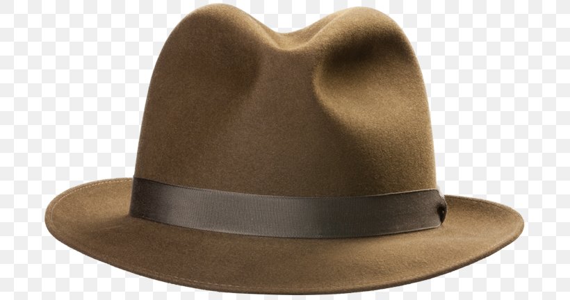 Fedora Trilby Cowboy Hat, PNG, 700x432px, Fedora, Clothing, Cowboy Hat, Hat, Headgear Download Free
