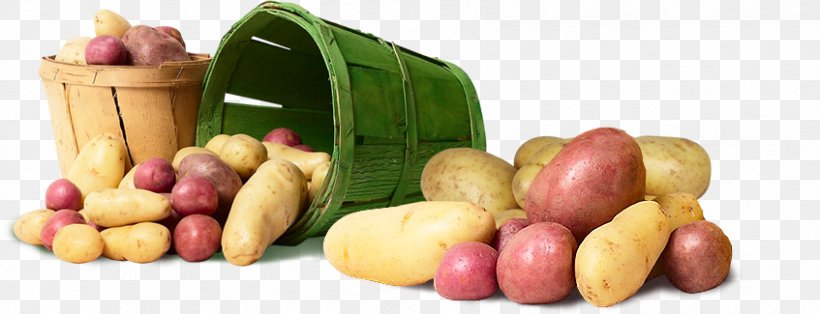 Potato Food Vegetable Vegetarian Cuisine Crop Yield, PNG, 847x325px, Potato, Crop Yield, Diet, Diet Food, Food Download Free