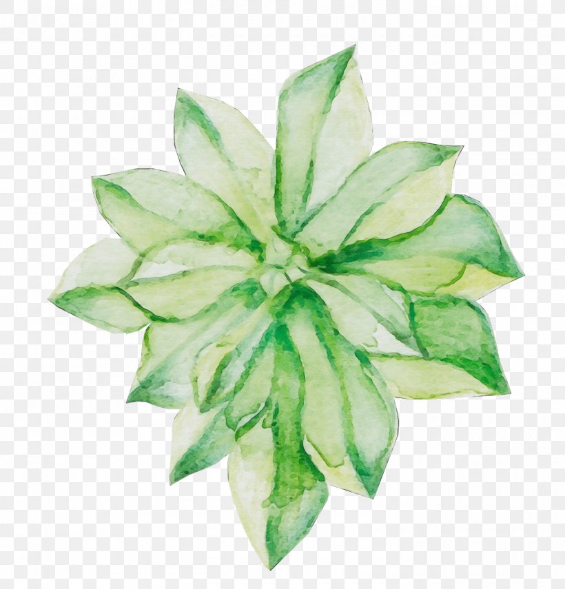 Green Leaf Flower Plant Petal, PNG, 1400x1460px, Watercolor, Flower, Flowering Plant, Green, Leaf Download Free