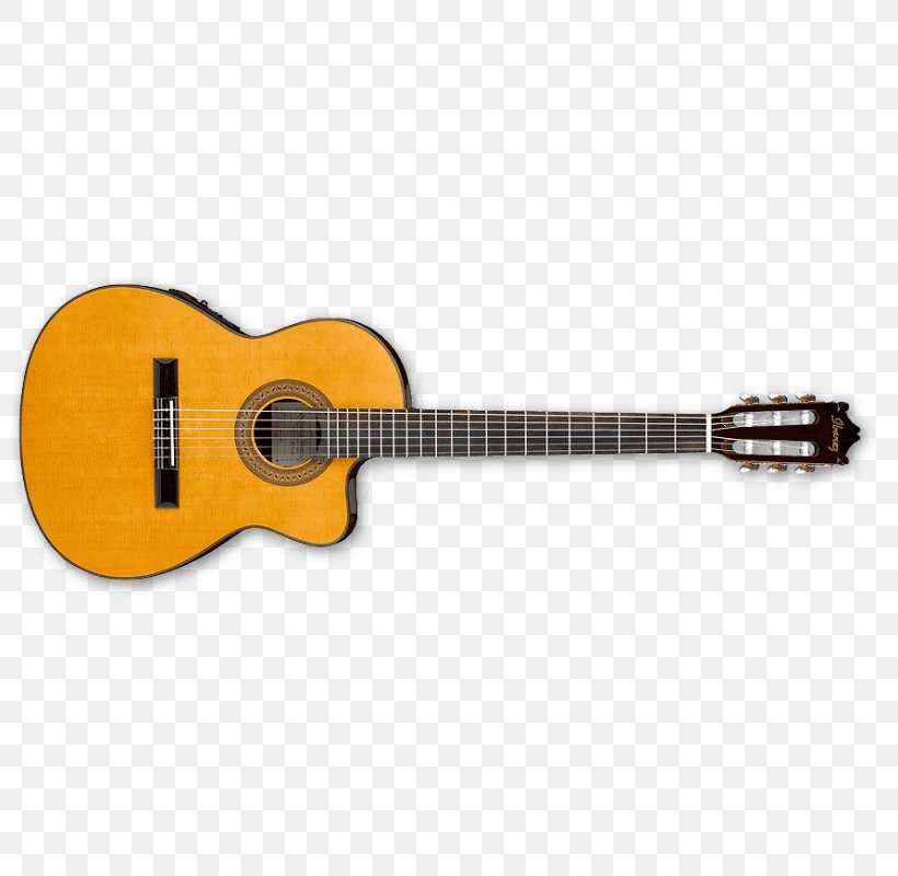 Classical Guitar Acoustic-electric Guitar Ibanez Acoustic Guitar, PNG, 800x800px, Watercolor, Cartoon, Flower, Frame, Heart Download Free