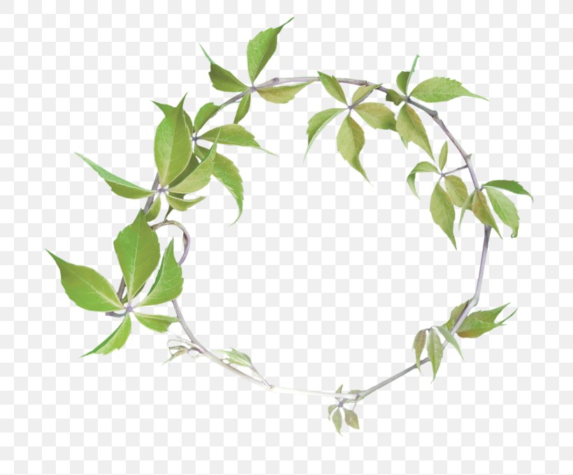 Clip Art, PNG, 800x681px, Akhir Pekan, Branch, Decoupage, Flora, Flower Download Free