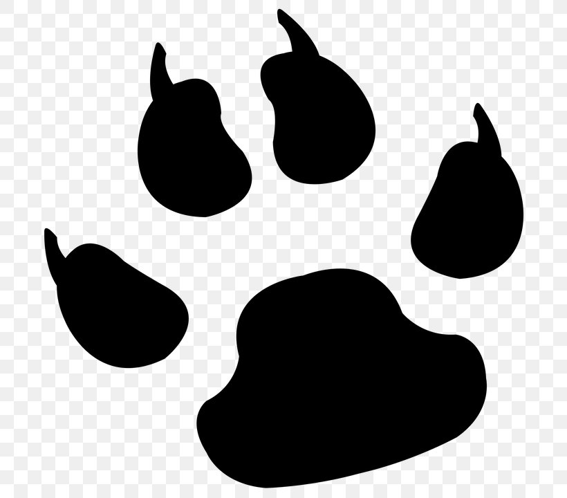 Dog Paw Tiger Clip Art, PNG, 720x720px, Dog, Black, Black And White, Cat, Claw Download Free