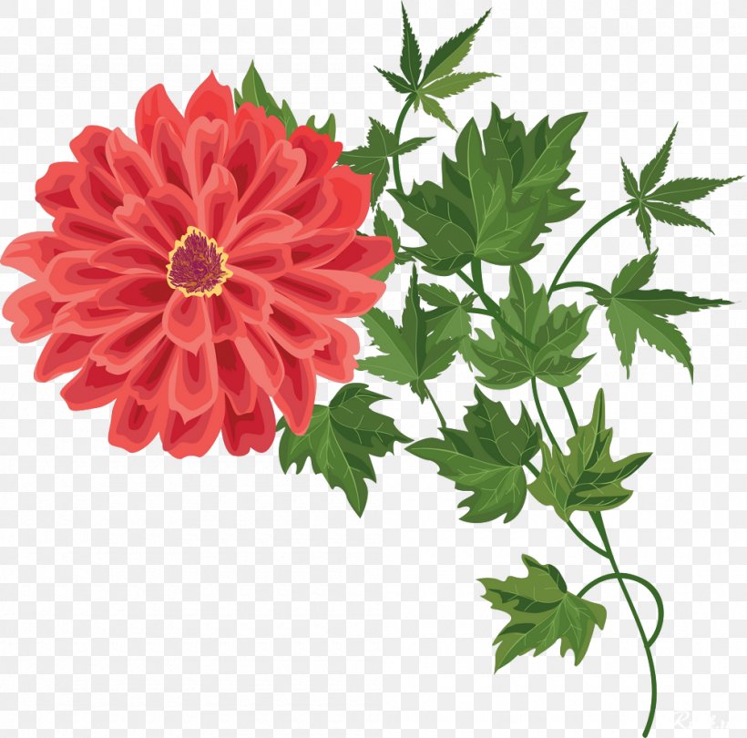 Flower Clip Art, PNG, 1000x989px, Flower, Chrysanthemum, Chrysanths, Cut Flowers, Dahlia Download Free