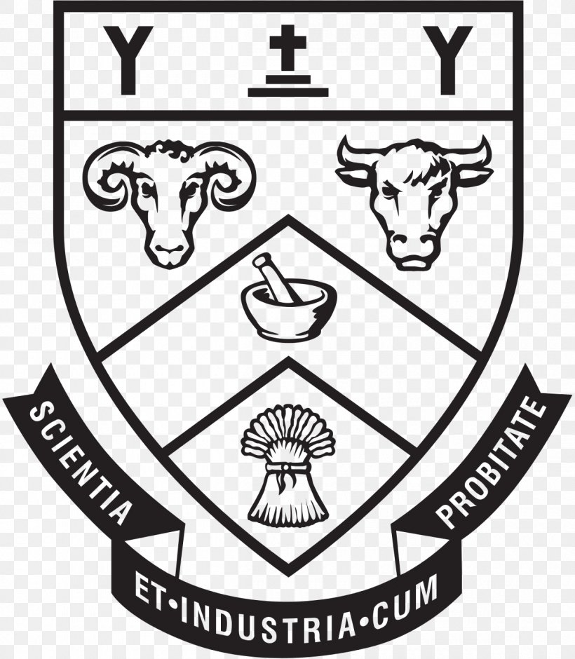 Lincoln University University Of Canterbury University Of Tasmania College, PNG, 1200x1376px, Lincoln University, Area, Art, Black And White, Brand Download Free