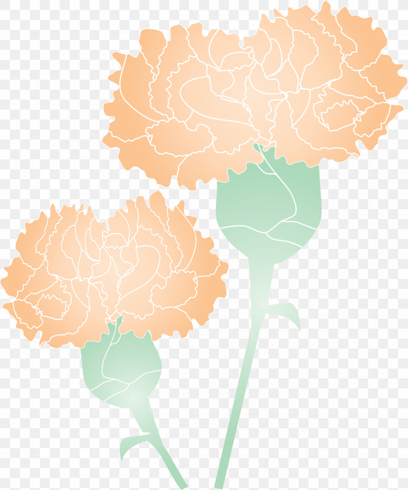 Mothers Day Carnation Mothers Day Flower, PNG, 2500x3000px, Mothers Day Carnation, Carnation, Dianthus, Flower, Leaf Download Free