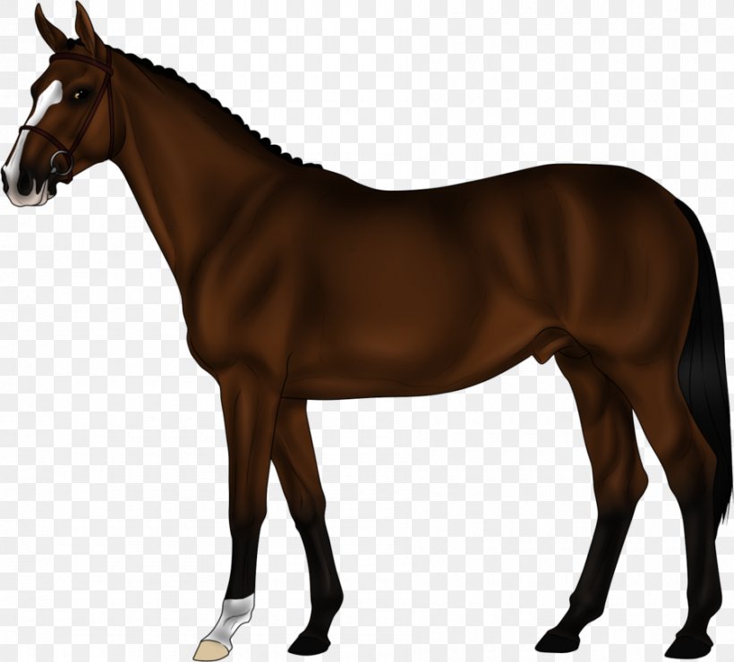 Mustang Arabian Horse Foal Pony Thoroughbred, PNG, 900x813px, Mustang, American Paint Horse, Andalusian Horse, Animal Figure, Appaloosa Download Free