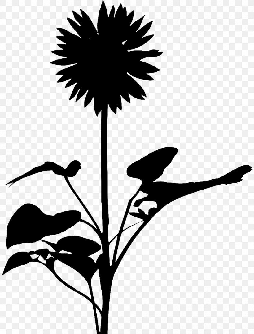 Clip Art Leaf Silhouette Plant Stem Flowering Plant, PNG, 915x1200px, Leaf, Blackandwhite, Botany, Daisy Family, Dandelion Download Free