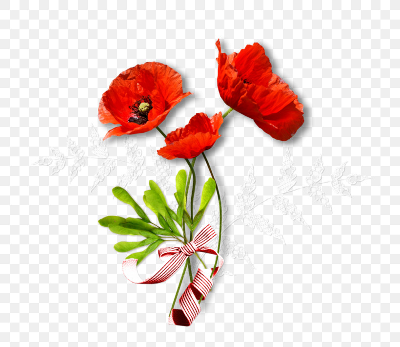 Flower Red Coquelicot Plant Corn Poppy, PNG, 800x710px, Flower, Anemone, Coquelicot, Corn Poppy, Cut Flowers Download Free