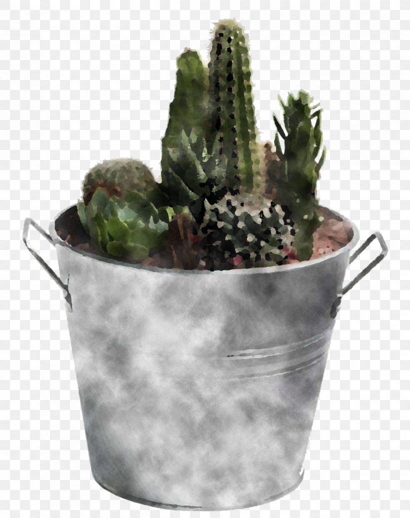 Plants Flowerpot Citroën Cactus M Biology Science, PNG, 2524x3189px, Plants, Biology, Flowerpot, Science Download Free