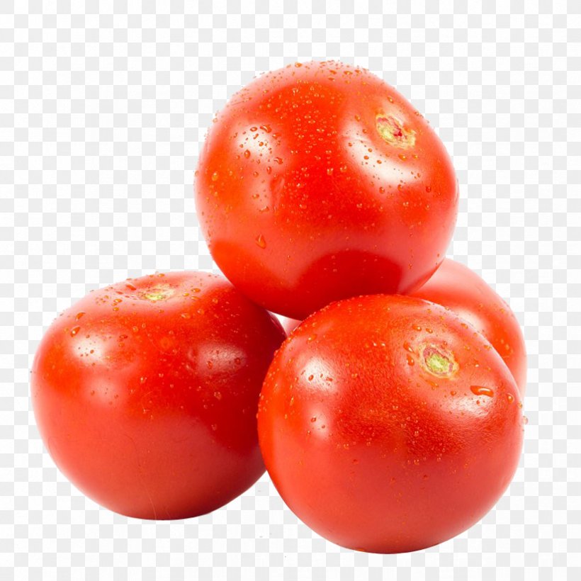 Plum Tomato Vegetarian Cuisine Bush Tomato, PNG, 824x824px, Plum Tomato, Bush Tomato, Cranberry, Diet Food, Food Download Free