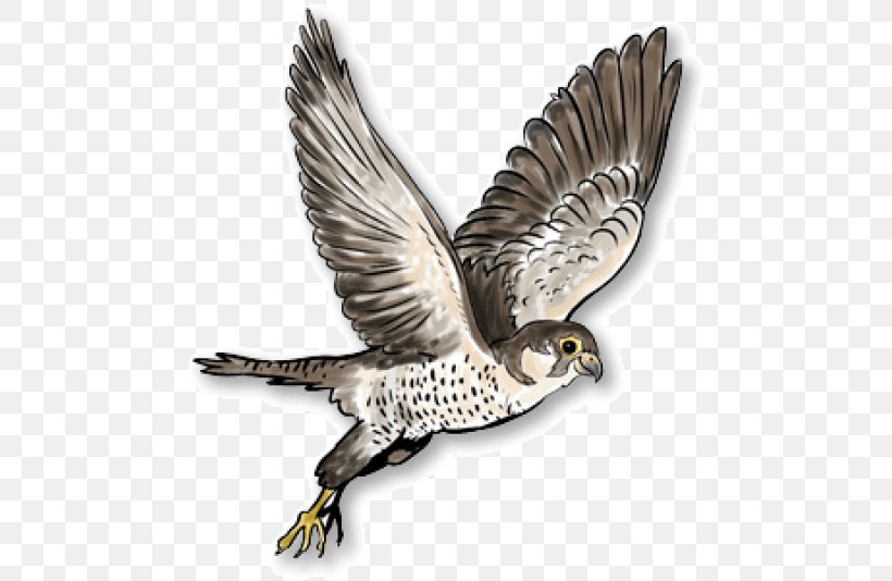 Russia Austral Pacific Energy () Limited Clip Art Image, PNG, 480x534px, Russia, Accipitriformes, Austral Pacific Energy Png Limited, Beak, Bird Download Free