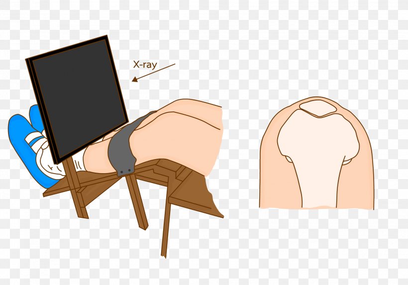 Table Cartoon, PNG, 2083x1458px, Table, Animal, Behavior, Chair, Ear Download Free