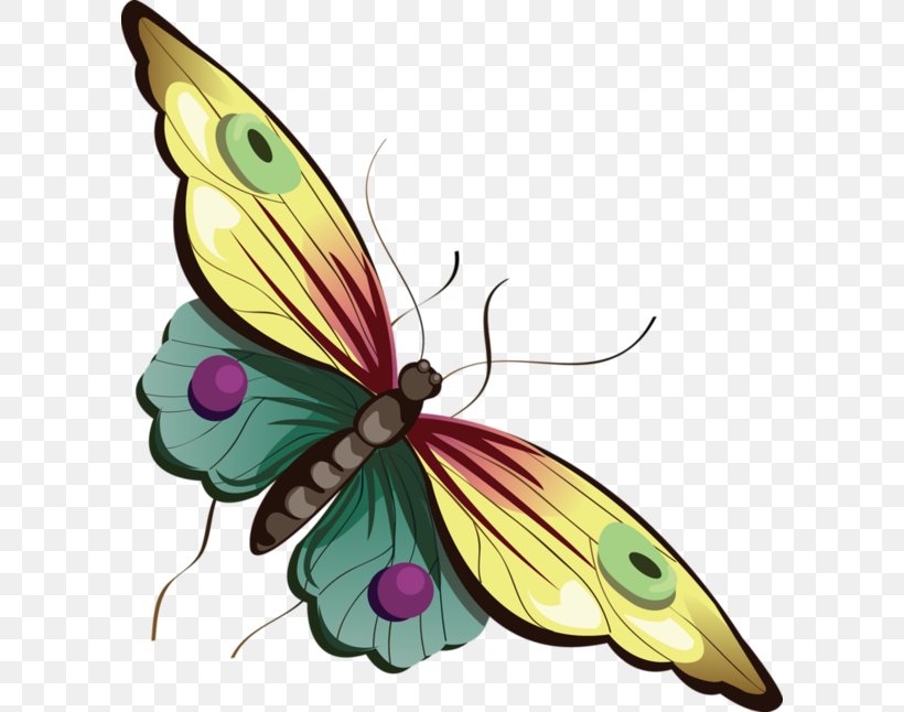 Butterfly Cartoon Clip Art, PNG, 600x646px, Butterfly, Animation, Arthropod, Blog, Brush Footed Butterfly Download Free