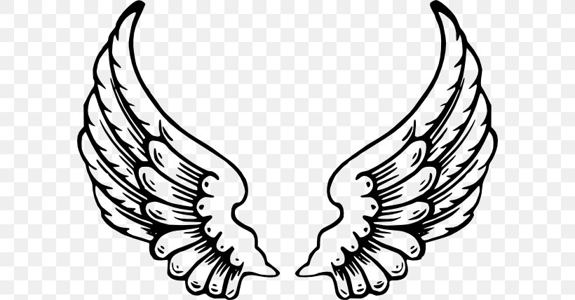 Drawing Clip Art, PNG, 600x428px, Wing, Angel, Angel Wing, Artwork, Beak Download Free