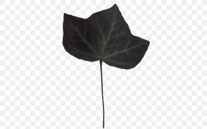 Flower Cartoon, PNG, 512x512px, Leaf, Anthurium, Blackandwhite, Computer, Flower Download Free