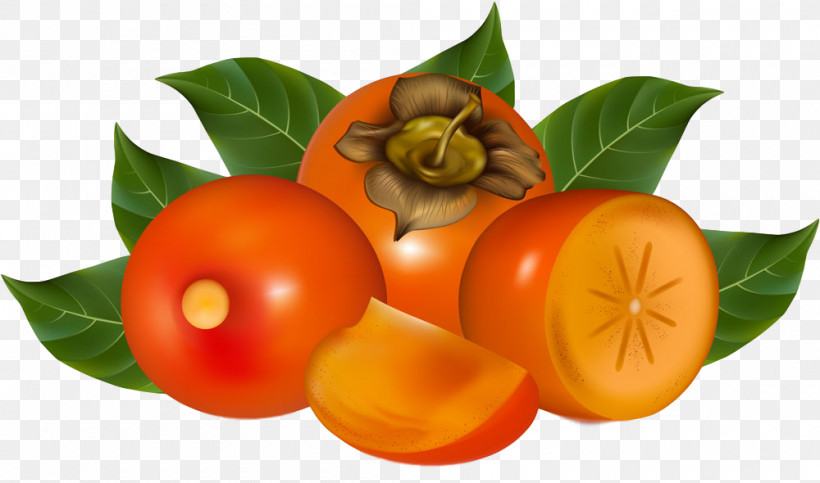 Fruit Food Plant Natural Foods Plum Tomato, PNG, 1000x590px, Fruit, Food, Natural Foods, Persimmon, Plant Download Free