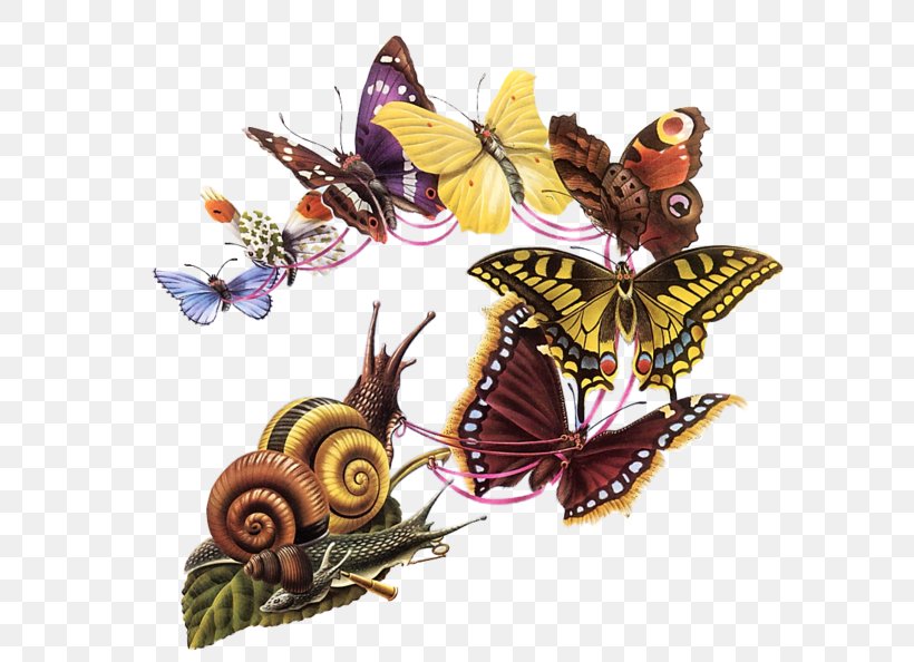 The Butterfly's Ball, And The Grasshopper's Feast The Butterfly Ball And The Grasshopper's Feast Costa Book Awards Graphic Designer, PNG, 600x594px, Butterfly, Alan Aldridge, Arthropod, Brush Footed Butterfly, Butterflies And Moths Download Free