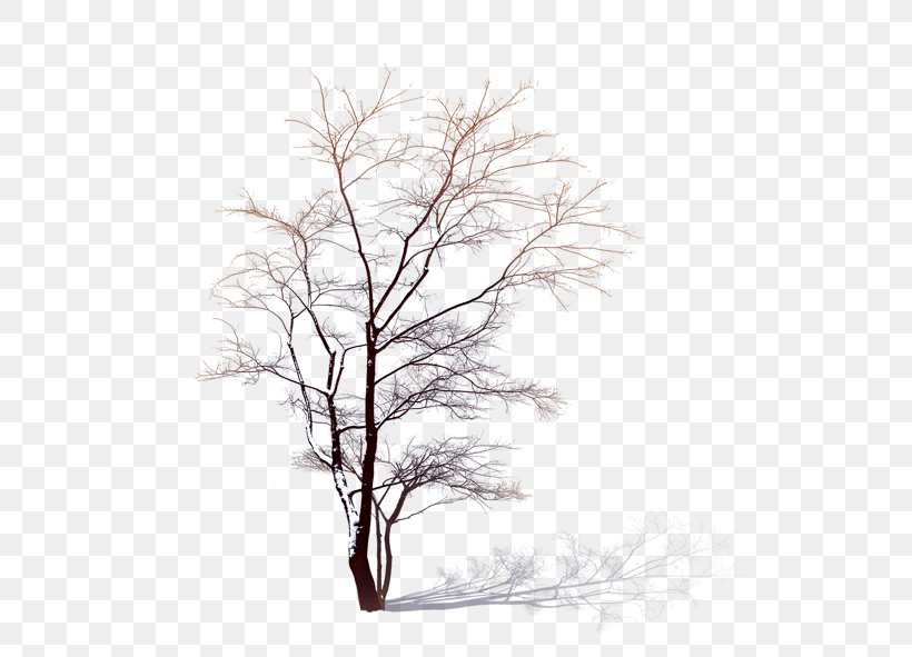 Tree, PNG, 591x591px, Tree, Animation, Black And White, Branch, Gratis Download Free