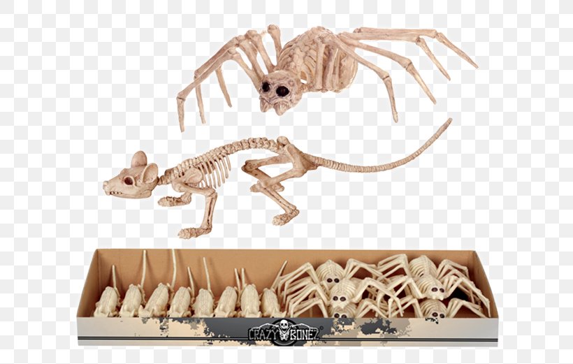 Velociraptor Spider Rat Animal Carnivora, PNG, 650x521px, Velociraptor, Animal, Animal Figure, Carnivora, Carnivoran Download Free