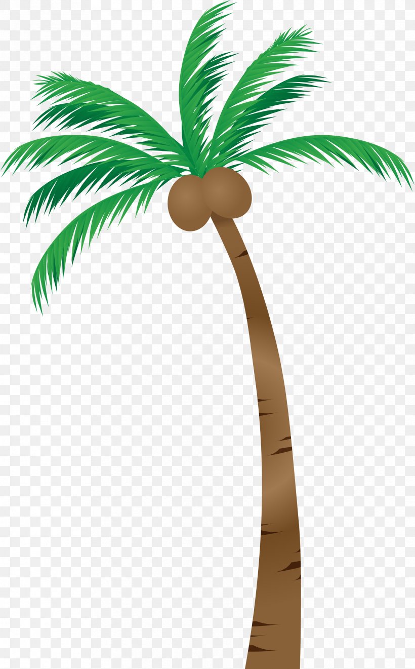 Palm Trees Asian Palmyra Palm Illustration Image Coconut, PNG, 2383x3840px, Palm Trees, Arecales, Asian Palmyra Palm, Attalea Speciosa, Botany Download Free