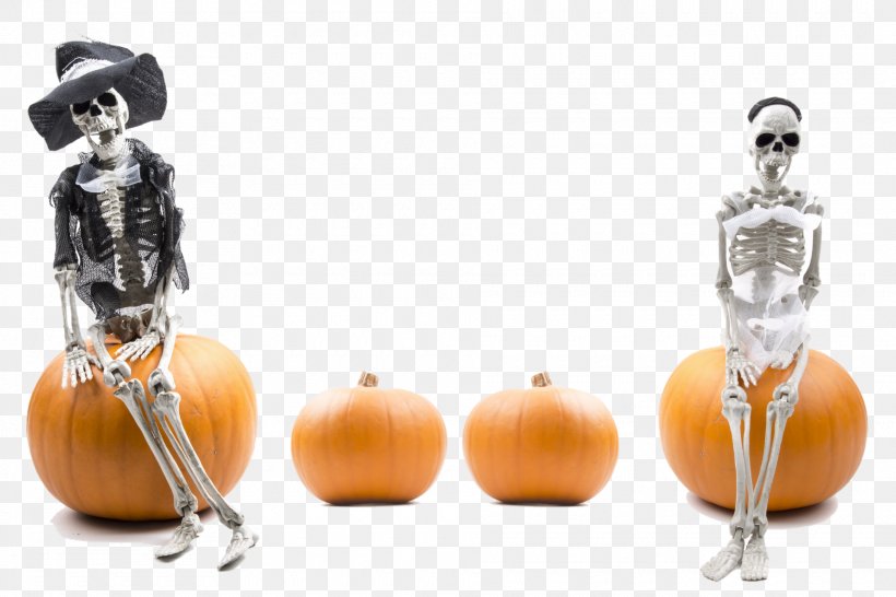 Pumpkins, PNG, 1920x1280px, Pumpkins Line Match 3, Android, Bone, Creativity, Halloween Download Free