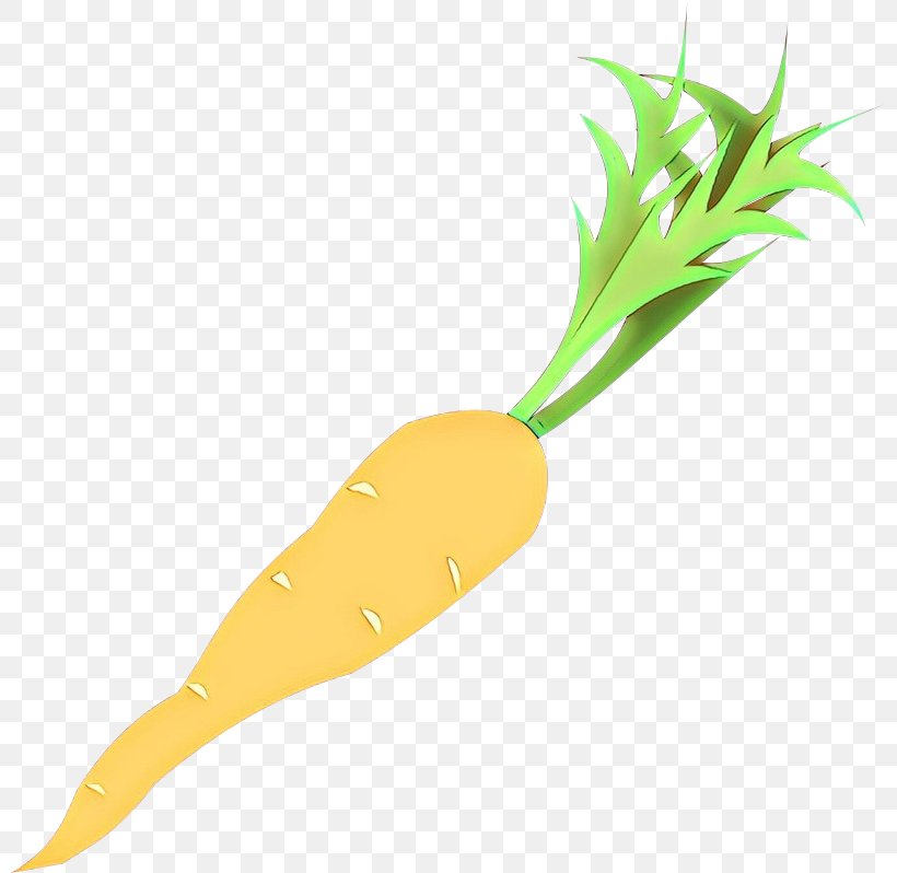 Radish Carrot Root Vegetable Vegetable Daikon, PNG, 800x798px, Cartoon, Arracacia Xanthorrhiza, Carrot, Daikon, Plant Download Free