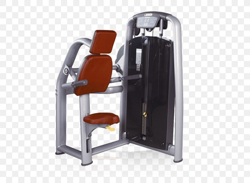 Triceps Brachii Muscle Dip Exercise Machine Lying Triceps Extensions Biceps, PNG, 600x600px, Triceps Brachii Muscle, Biceps, Biceps Curl, Chair, Dip Download Free