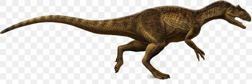 Tyrannosaurus Dinosaur Allosaurus Daspletosaurus Majungasaurus, PNG, 1536x516px, Tyrannosaurus, Abelisauridae, Allosaurus, Animal, Animal Figure Download Free