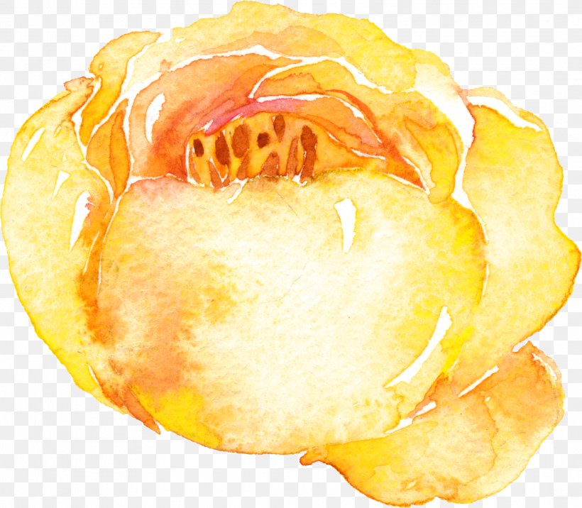 Yellow Watercolor Painting, PNG, 2167x1894px, Yellow, Flower, Food, Fruit, Junk Food Download Free