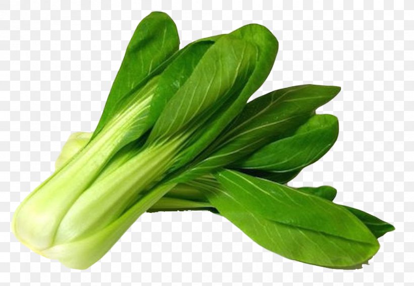 Bok Choy Vegetable, PNG, 1041x720px, Bok Choy, Chard, Choy Sum, Diet, Food Download Free