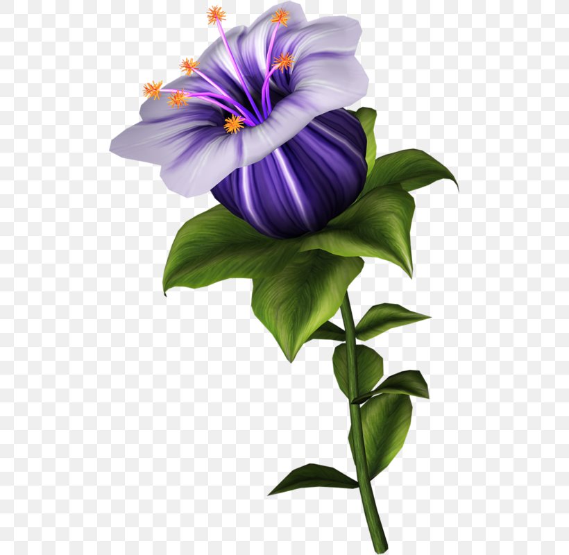 Flower Bouquet Clip Art Image Floral Design, PNG, 507x800px, Flower, Annual Plant, Cut Flowers, Drawing, Floral Design Download Free