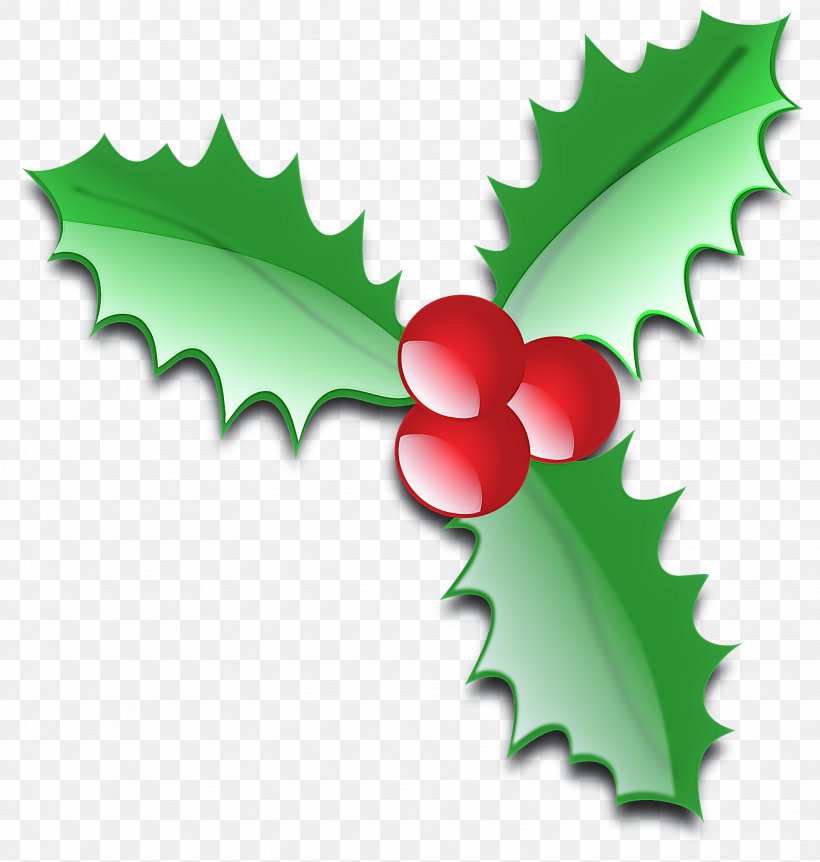 Holly, PNG, 1969x2071px, Holly, Flower, Leaf, Plant Download Free