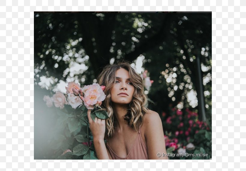 Ombré Hair Blond Photography, PNG, 790x569px, Watercolor, Cartoon, Flower, Frame, Heart Download Free