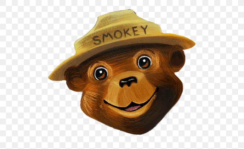 Smokey Bear And The Campfire Kids Wildfire, PNG, 503x503px, Watercolor, Cartoon, Flower, Frame, Heart Download Free