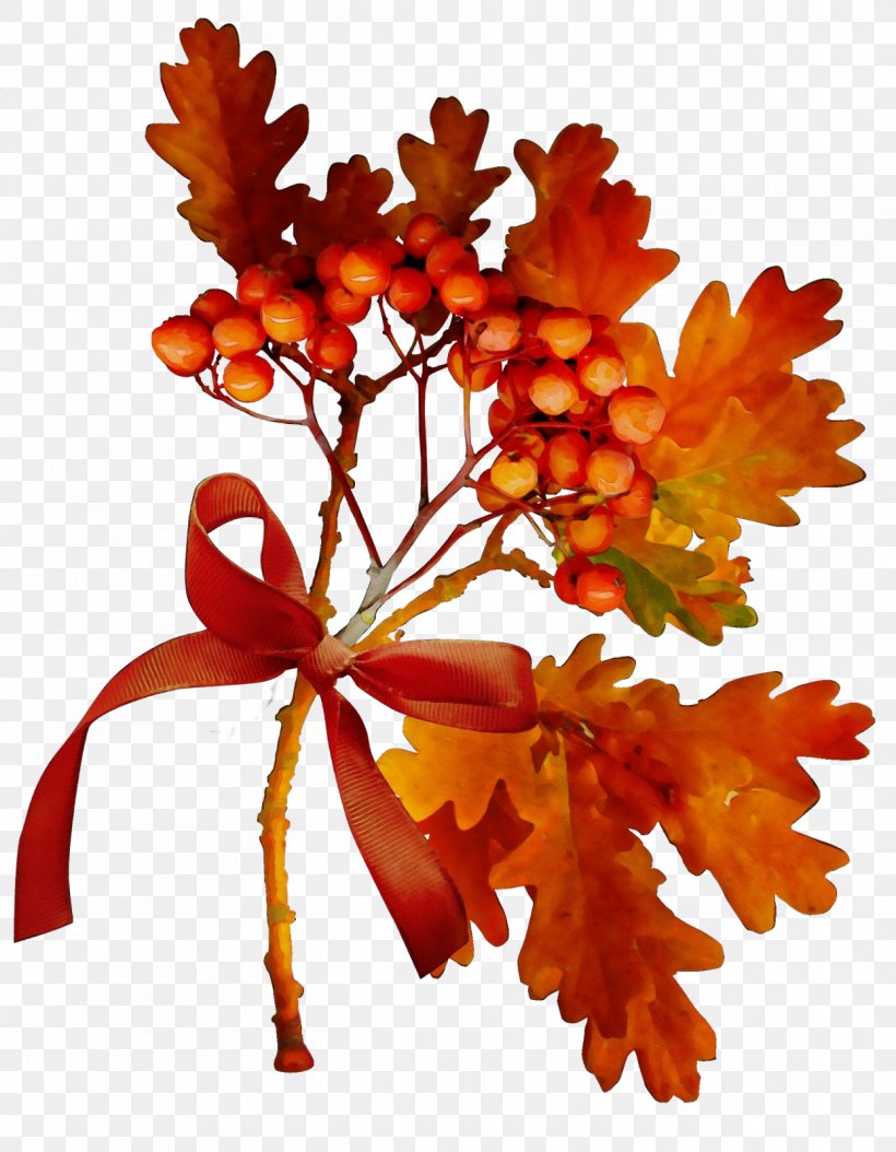 Orange, PNG, 1244x1600px, Watercolor, Autumn, Branch, Flower, Flowering Plant Download Free