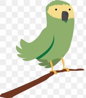 jungle parrot clipart