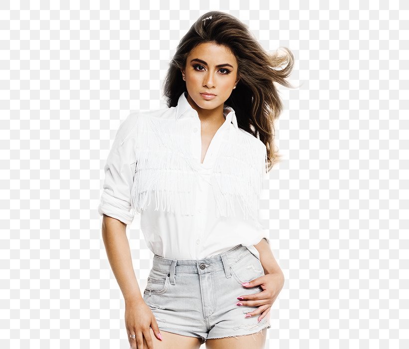 Ally Brooke Fifth Harmony The Reflection Tour Sledgehammer, PNG, 500x700px, Watercolor, Cartoon, Flower, Frame, Heart Download Free