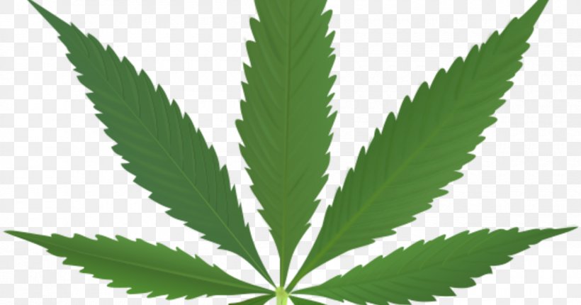 Cannabis Sativa Medical Cannabis Leaf Smoking, PNG, 1200x630px, Cannabis Sativa, Cannabidiol, Cannabinoid, Cannabis, Cannabis Shop Download Free