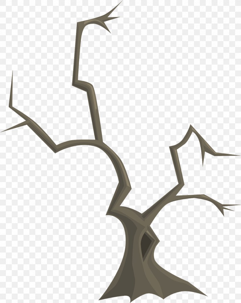 Twig Branch Tree, PNG, 1017x1280px, Twig, Antler, Branch, Deer, Forest Download Free