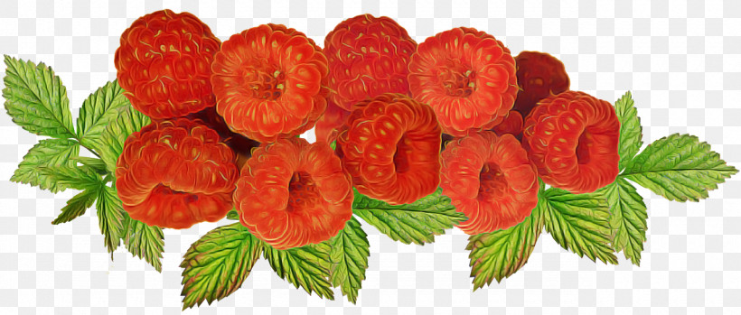 Floral Design, PNG, 1280x545px, Strawberry, Cut Flowers, Floral Design, Floristry, Flower Download Free