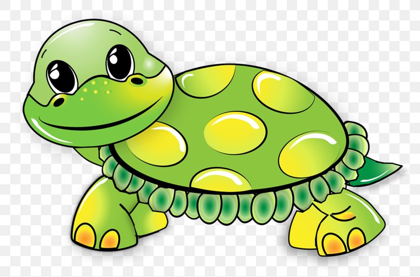 Green Sea Turtle Clip Art Vector Graphics, PNG, 800x541px, Turtle, Amphibian, Animal, Animal Figure, Cartoon Download Free