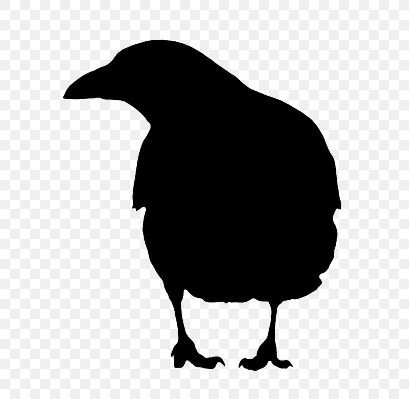 Beak Clip Art Fauna Silhouette Landfowl, PNG, 600x800px, Beak, Bird, Blackandwhite, Crow, Crowlike Bird Download Free