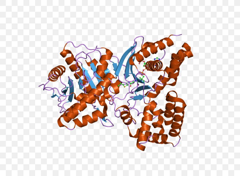 Choline Acetyltransferase Acetylcholine Enzyme, PNG, 800x600px, Watercolor, Cartoon, Flower, Frame, Heart Download Free