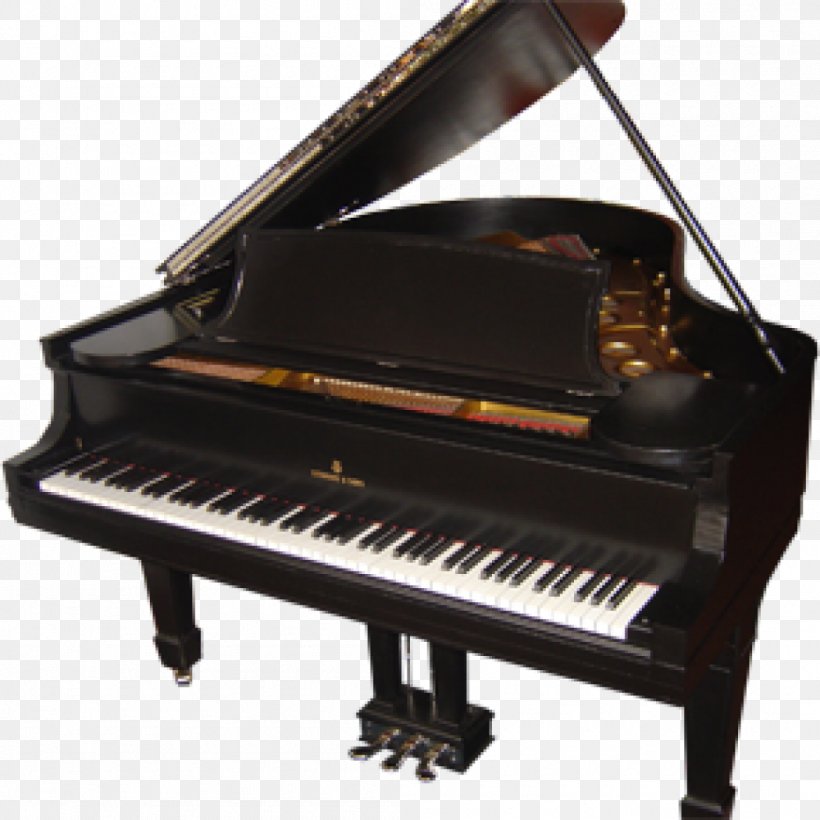 Digital Piano Musical Instruments Steinway & Sons Wilhelm Schimmel, PNG, 1050x1050px, Watercolor, Cartoon, Flower, Frame, Heart Download Free