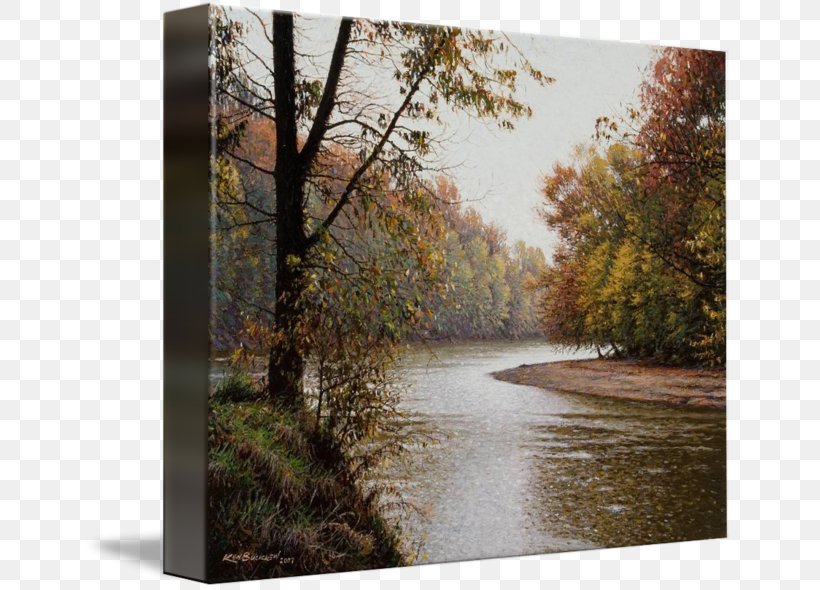 Painting Gallery Wrap River Water Resources Bayou, PNG, 650x590px, Painting, Art, Autumn, Bank, Bayou Download Free