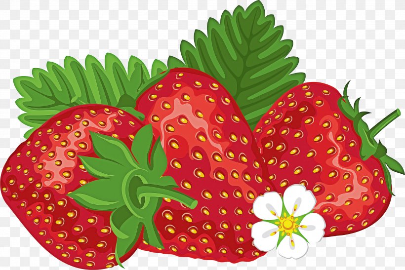 Strawberry Cartoon, PNG, 3439x2296px, Strawberry, Accessory Fruit,  Anthurium, Berries, Berry Download Free