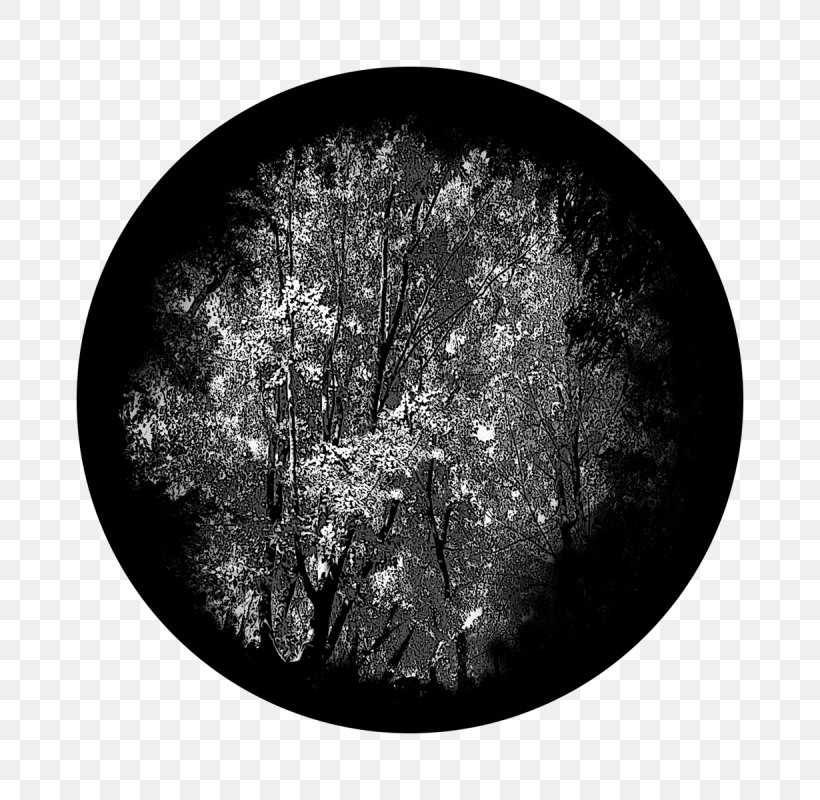 Branch Black Black-and-white Plate Tree, PNG, 800x800px, Branch, Black, Blackandwhite, Dishware, Plate Download Free
