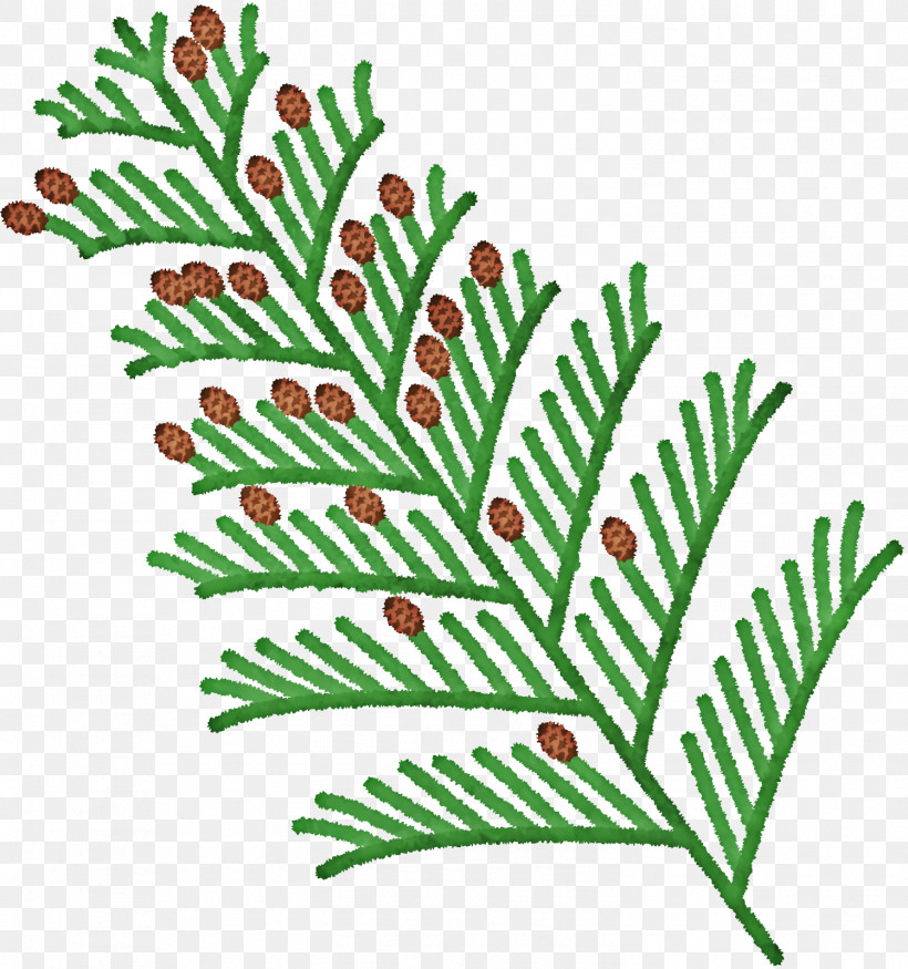 Christmas Tree, PNG, 1498x1600px, Spruce, Branch, Christmas Day, Christmas Tree, Christmas Tree M Download Free